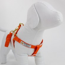 peitoral americano seda